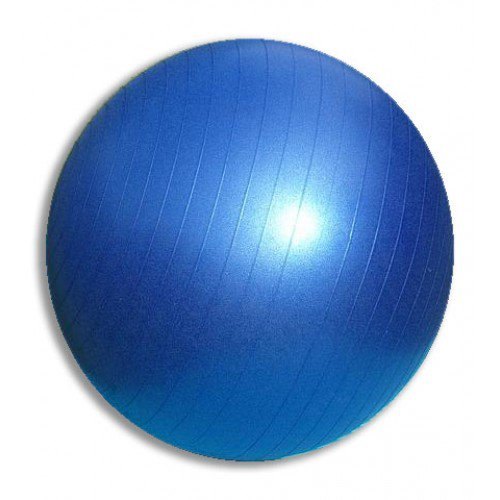 כדור פילאטיס פיזיו בקוטר 65 ס";מ מבית CITYSPORT