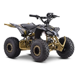 טרקטורון ממונע לילדים 250748 בעוצמה 36V ריידר פרומקס