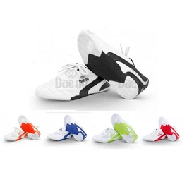 נעלי אומניות לחימה מקצועיות 251119 מתאים למזרן DAE DO