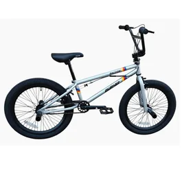אופני פעלולים 261819 דגם Burner עם גלגלי 20 אינצ' מבית RALEIGH